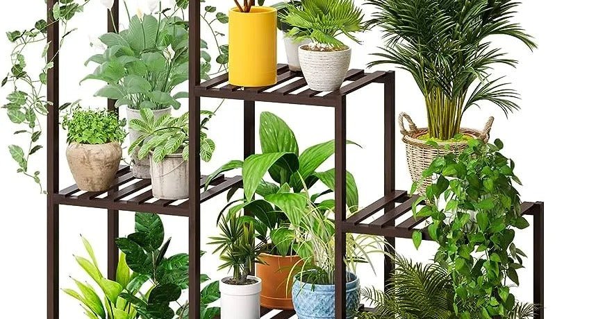 Essential Plant Stands for Stylish Indoor Gardens - Greensouq