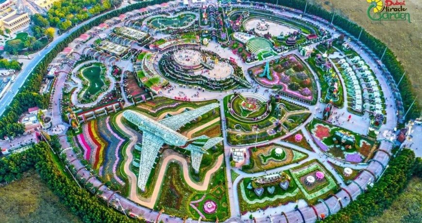 Plants Garden in Dubai: A Guide to Gardening in Dubai Desert Oasis - Greensouq