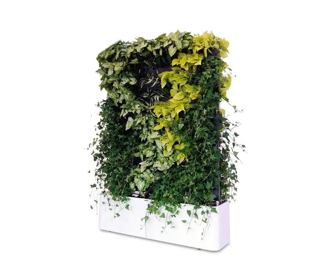Vertical Gardens in Dubai : a Green Revolution : Greening the Desert - Greensouq