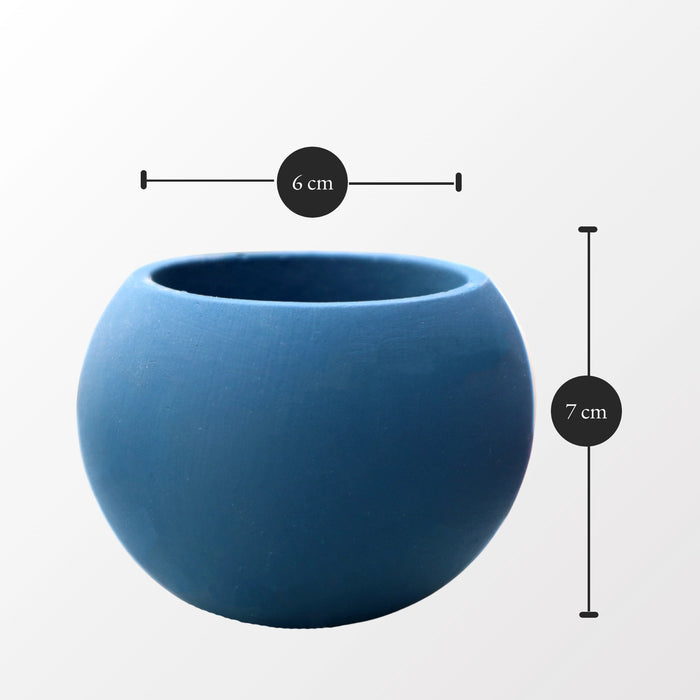 Bowl Succulent Pot