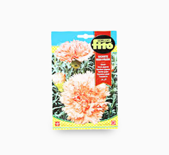 Carnation Giant Pink 800mg – Fito