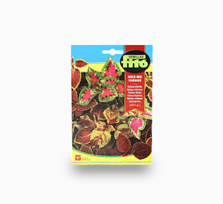 Coleus Rainbow Mix 400mg – Fito