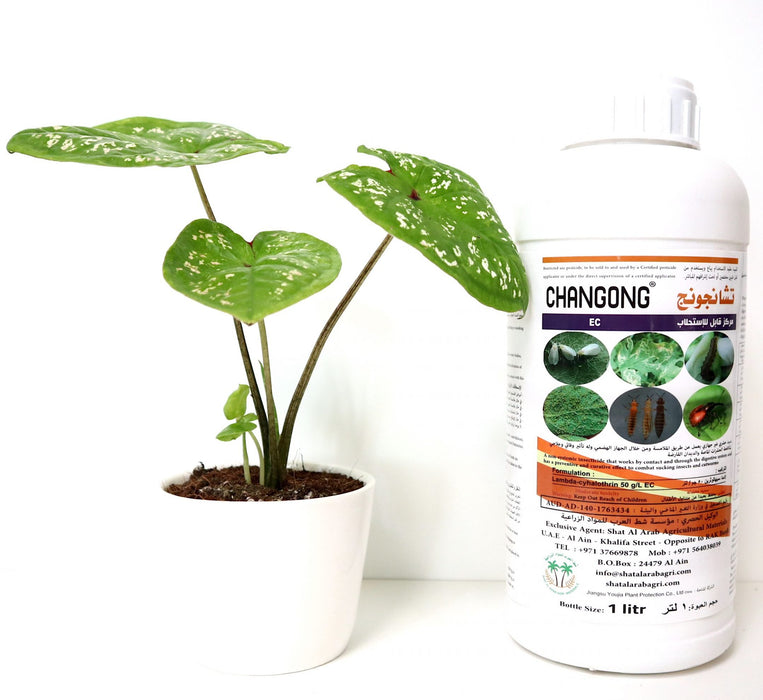 Changong EC "Insecticide" 1Ltr Green Souq
