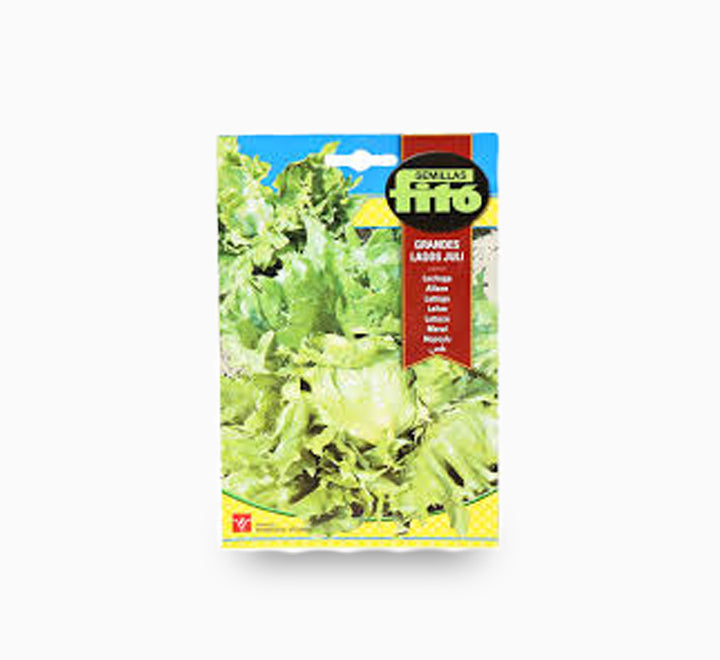 Lettuce Grandes Lagos Juli 6g – Fito