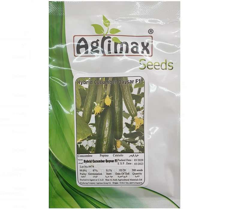 Cucumber Vegetable Seed Greensouq