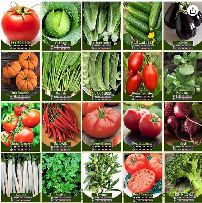 Agrimax Herbs and Vegetables Seeds Bundle 20