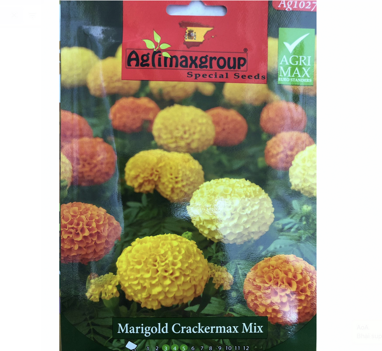 Merigold Crackermax Flower Seeds by Agrimax Spain