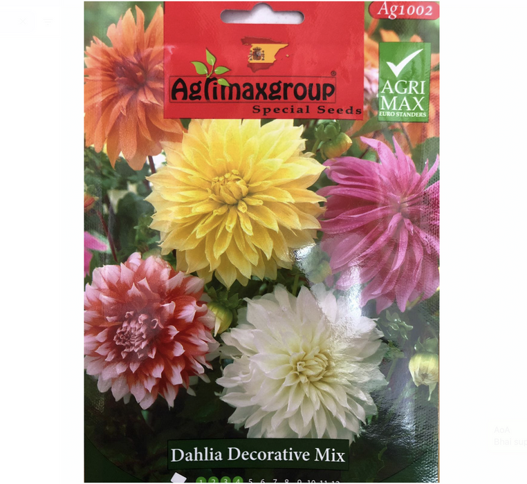 Dahlia Decorative mix Flower Seeds by Agrimax Spain