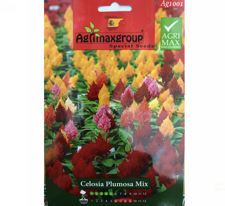 Celosia Plumosa mix Flower Seeds by Agrimax Spain