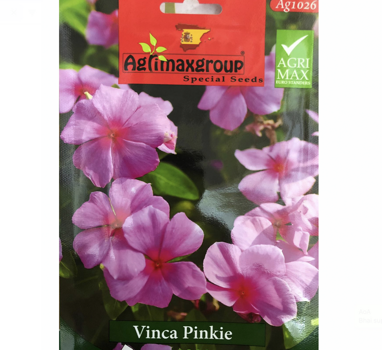 Vinca Pinkie Flower Seeds by Agrimax Spain