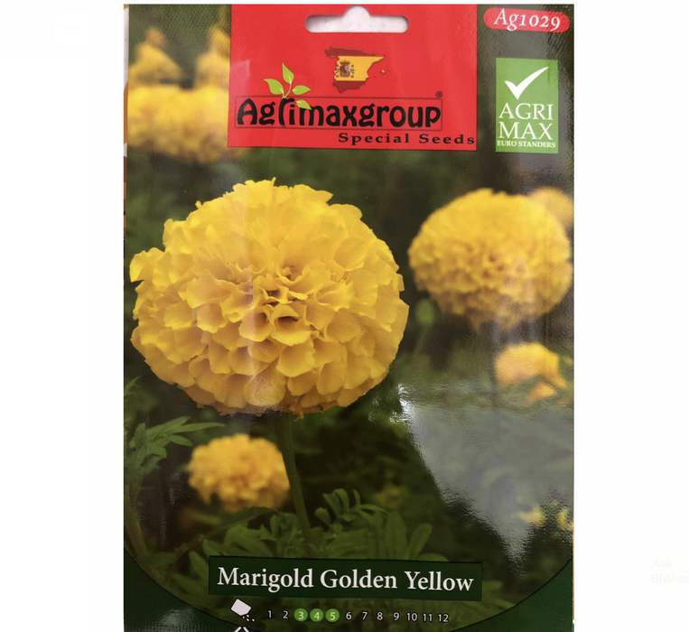 Marigold Golden Yellow Flower Seeds by Agrimax Spain