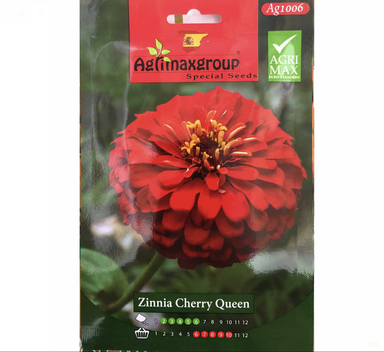 Zinnia Charry Queen Flower Seeds by Agrimax Spain
