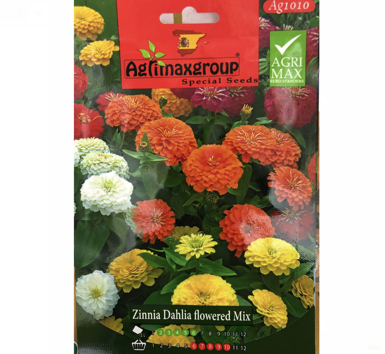 Zinnia Dahlia Mix Flower Seeds by Agrimax Spain