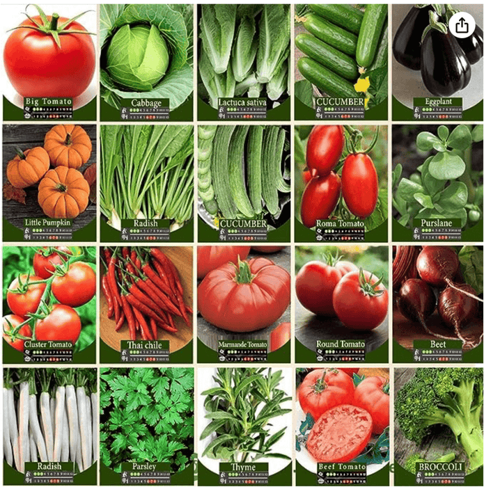 Agrimax Herbs and Vegetables Seeds Bundle 20 - Greensouq -