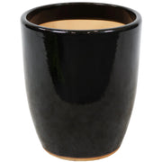 Air Purifying Plants Premium Bundle - Greensouq -