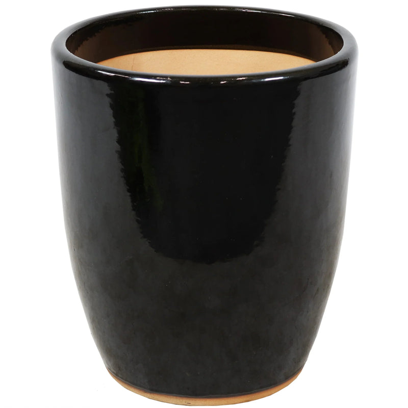 Air Purifying Plants Premium Bundle - Greensouq -