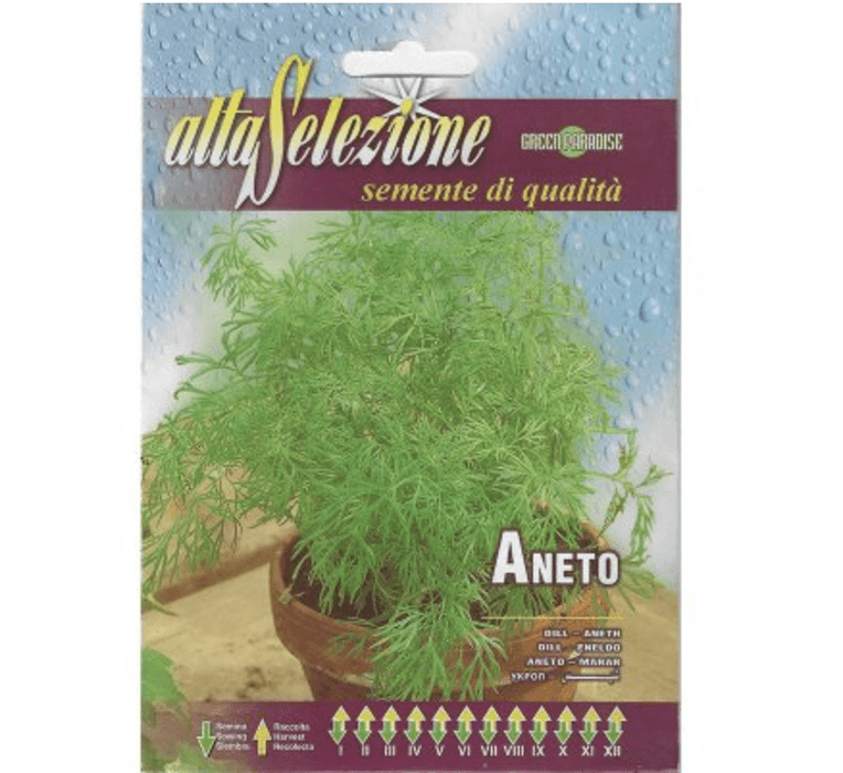 Aneto "Dill" Premium Quality Seeds by Alta Selezione - Greensouq -
