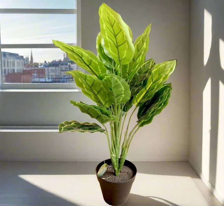 Artificial Calathea 50cm - Greensouq -
