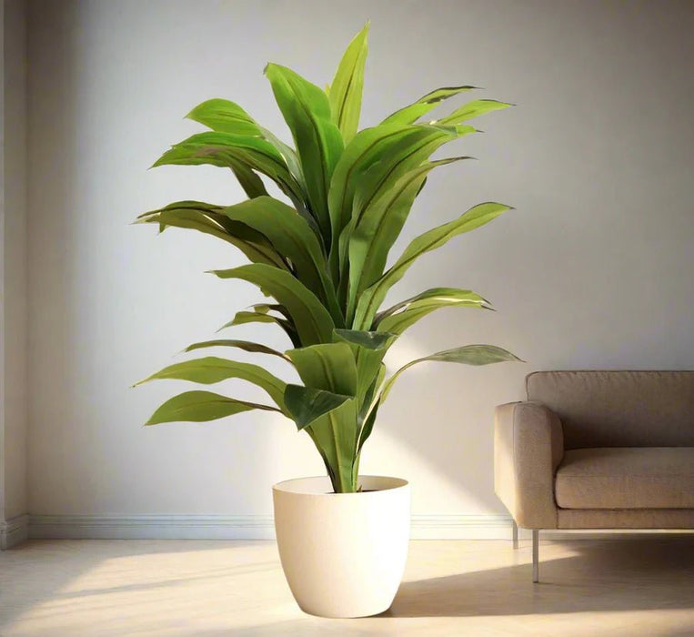 Artificial Dracaena Compacta 80cm - Greensouq -