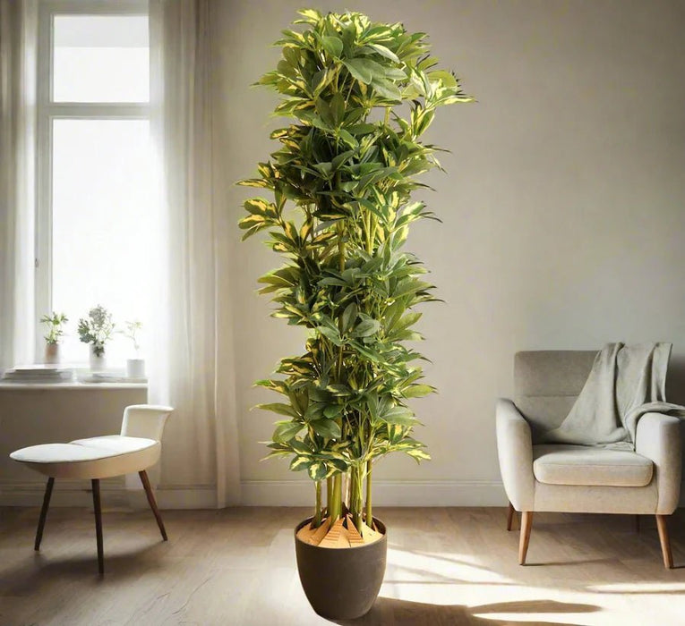 Artificial Schefflera arboricola "Gold Capella" 120cm - Greensouq -