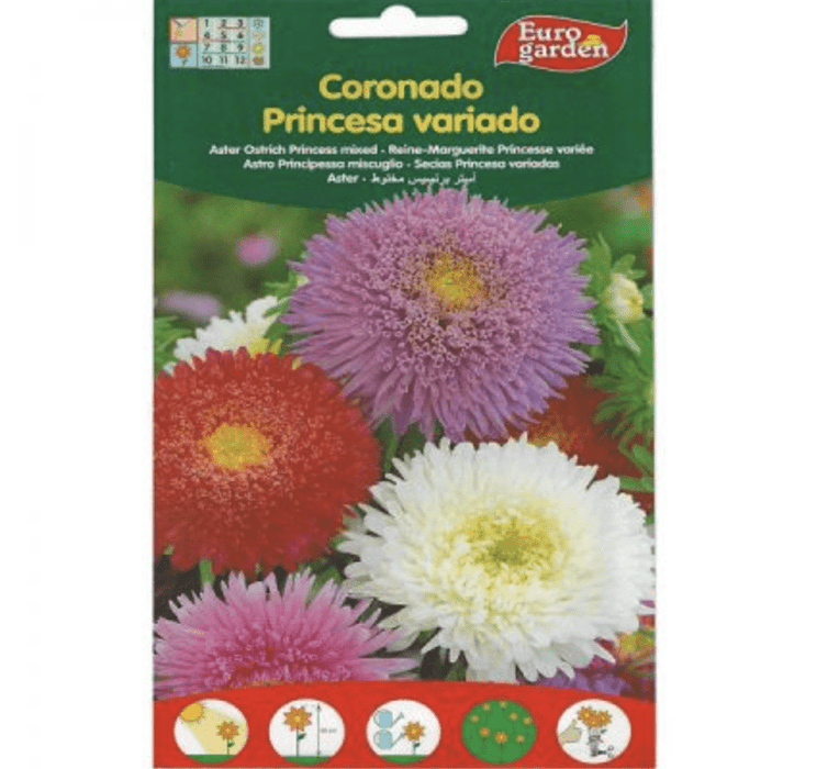 Aster Ostrich Princess Mix Premium Quality Seeds by EuroGarden - Greensouq -