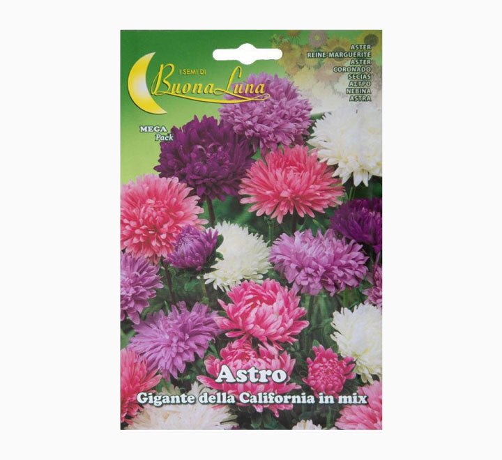 Astro Gigante california Mix Mega Pack - Greensouq -