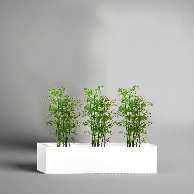 3x Bamboo Multiplex Trio in Rectangular Fiber Glass Planter (GRP) (90x30x30cm) - Greensouq -