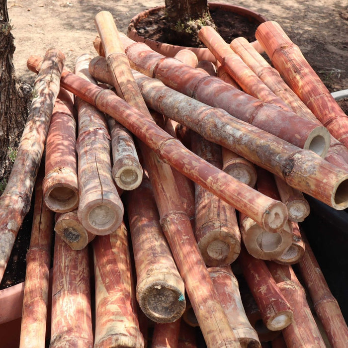 Bamboo pole 1m Length Strong Natural Bamboo, Bamboo Structure Pole - Greensouq -