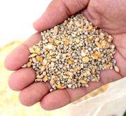 Bird Feed "Feed Wild Bird in your Backyard" - Greensouq -