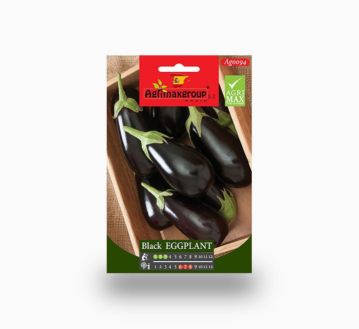 Black Eggplant Agrimax Seeds - Greensouq -