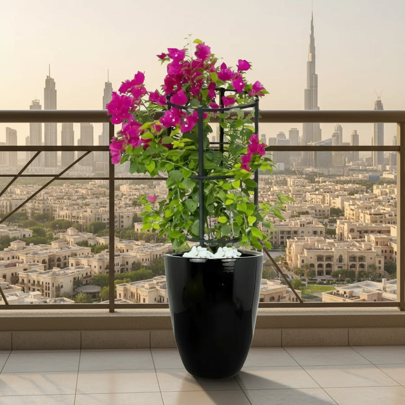 Black Ceramic Bougainvillea Pot - Modern Home Decor - Greensouq -