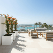 Bougainvillea Orange / Bougainvillea Orange in Grp Square Pot - Greensouq -