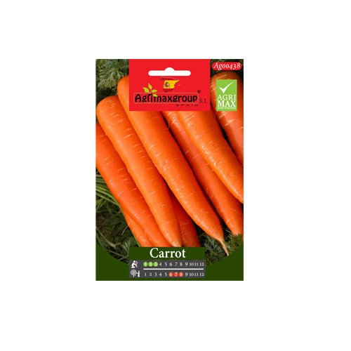 Carrot seed by Agrimax - Greensouq -