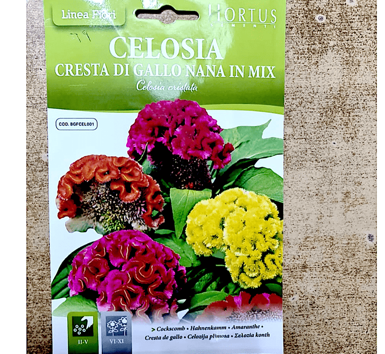 Celosia Flower Seeds "Cresta Di Gallo Nana Mix" by Hortus - Greensouq -