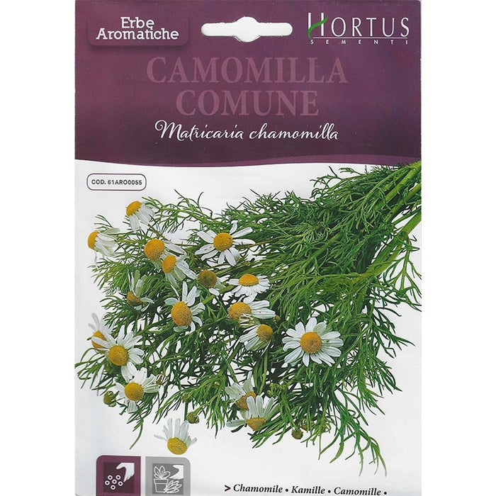 Chamomile "Camomilla Comune" Premium Quality Seeds by Hortus Sementi - Greensouq -