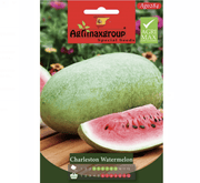 Charleston Watermelon Agrimax Seeds - Greensouq -