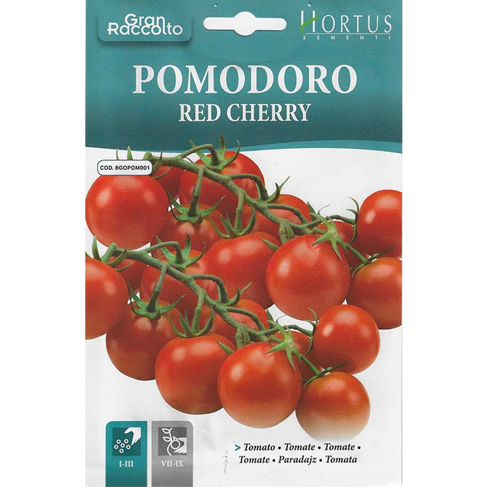 Cherry Tomato "Pomodoro Red Cherry" Seeds by Hortus - Greensouq -