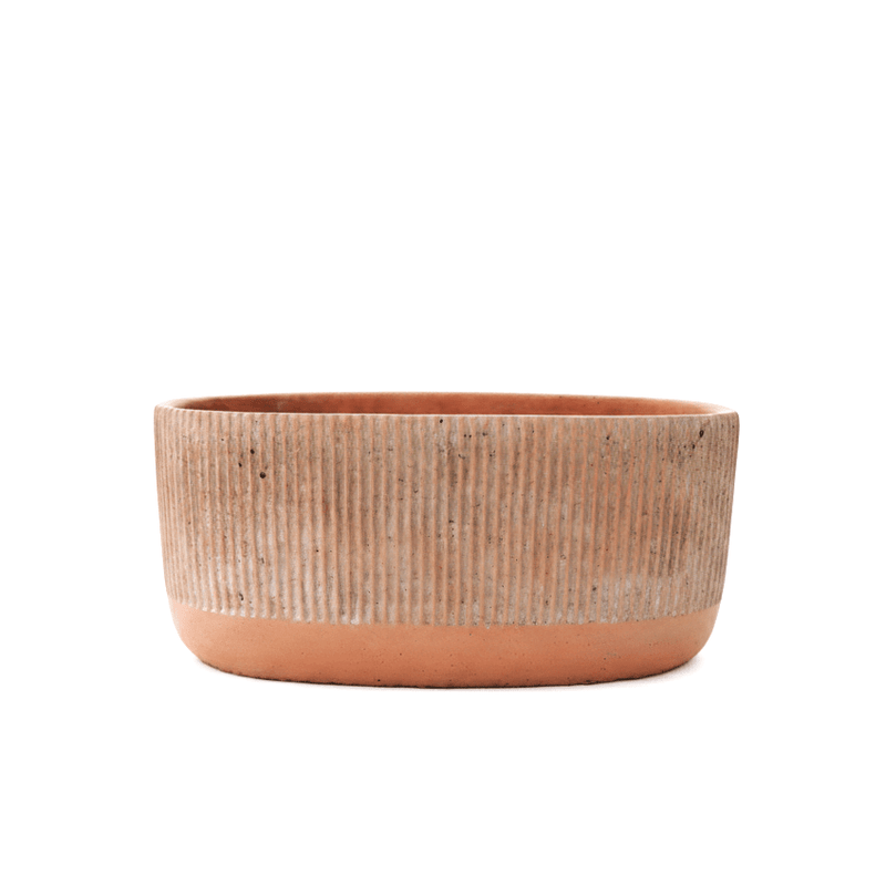 Chic Ribbed Concrete Oval Planter - Modern Minimalist Pot - Length 25cm, Height 12cm) - Greensouq -