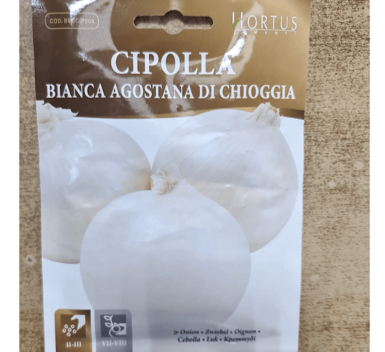 Cipolla Onion Vegetable Seeds "Bianca Agostana Di Chioggia" by Hortus - Greensouq -