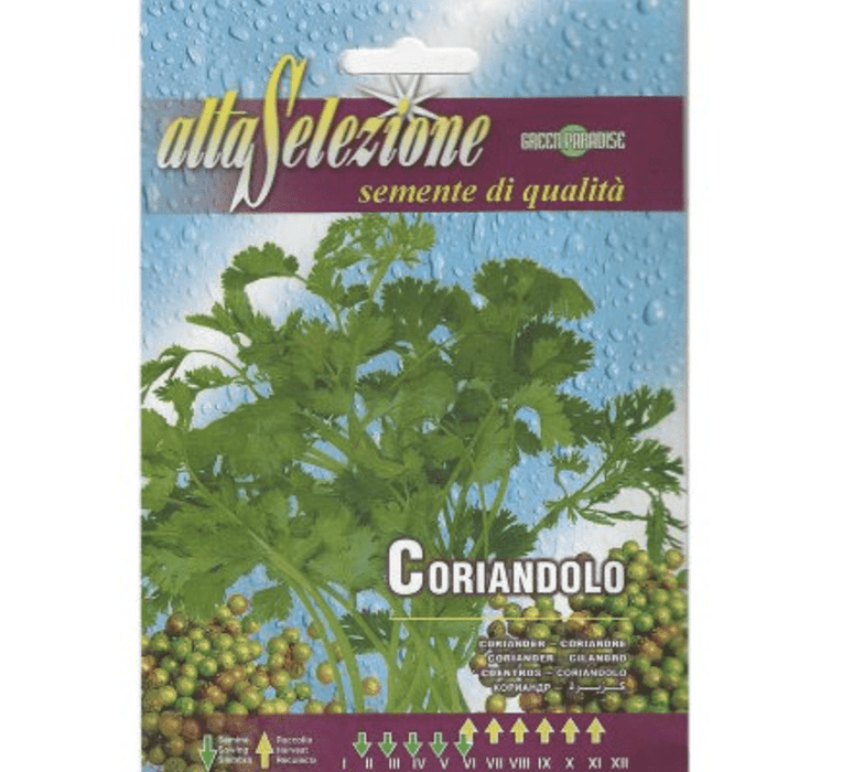 Coriander "Coriandolo" Premium Quality Seeds by Alta Selezione - Greensouq -