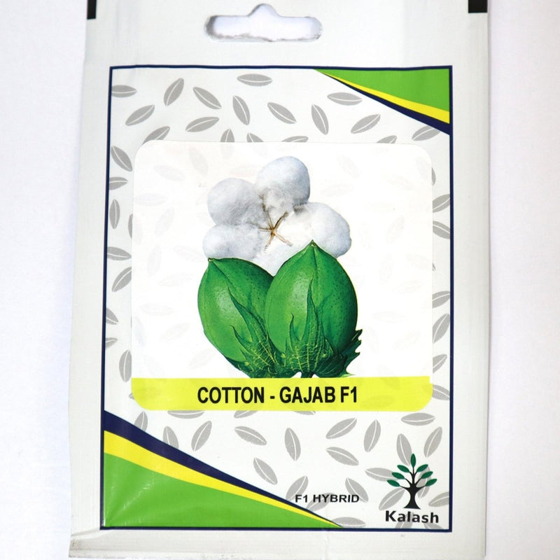 Cotton Seeds / Cotton F1 Hybrid Premium Quality Seeds - Greensouq -