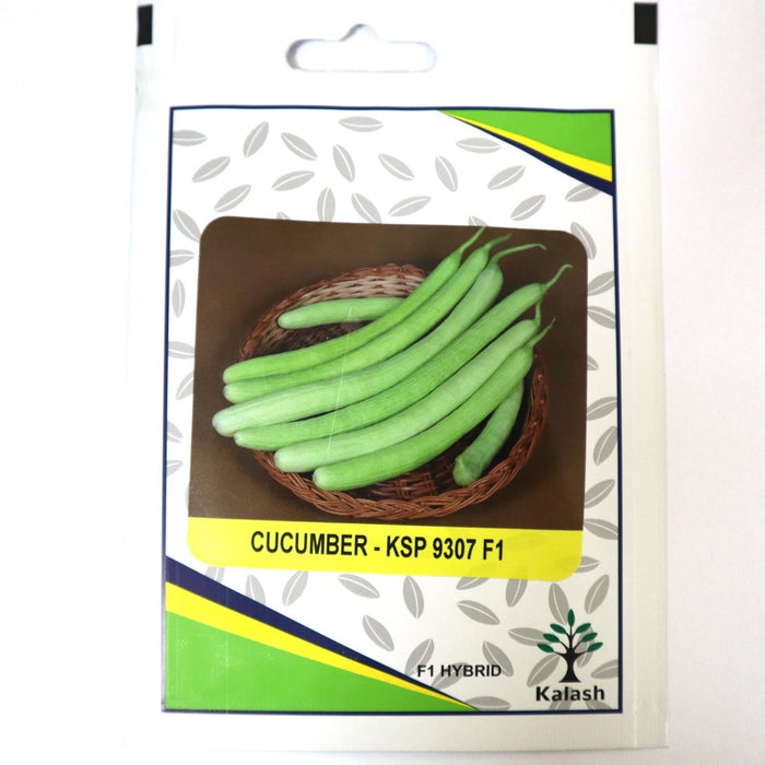Cucumber KSP 9307 F1 Hybrid Premium Quality Seeds - Greensouq -