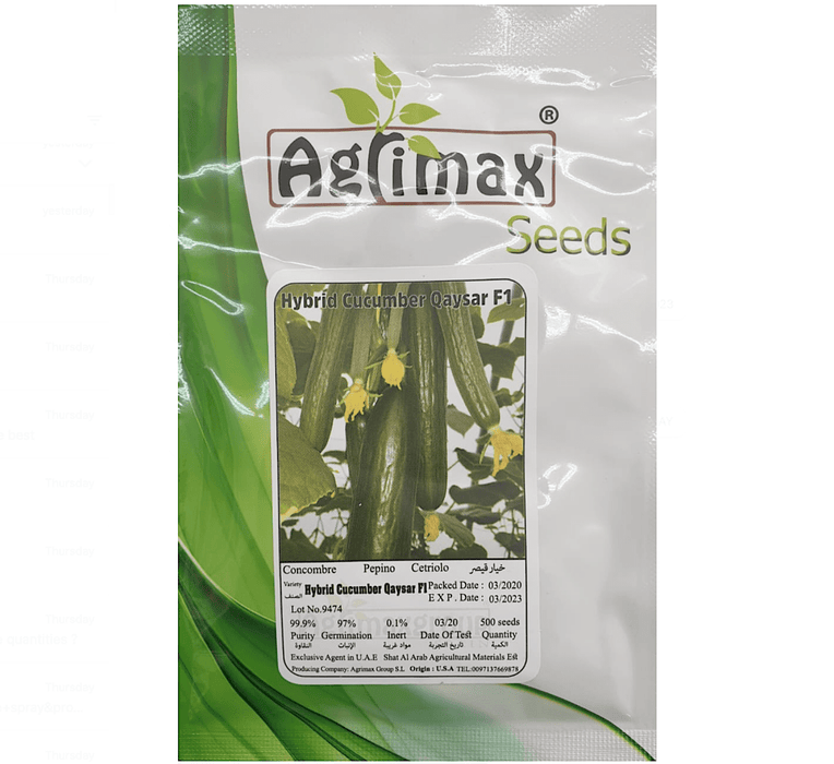 Cucumber Vegetable Seed "Qaiser F1 Hybrid" By Agrimax - Greensouq -