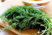 Dill Agrimax Seeds - Greensouq -