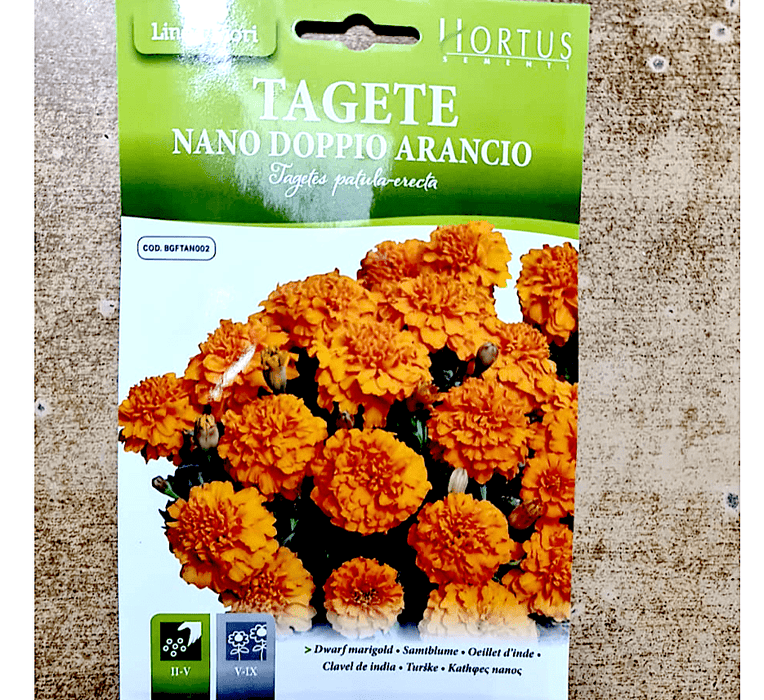 Dwarf Marigold Flower Seeds "Tagete Nana Partula Mix" by Hortus - Greensouq -