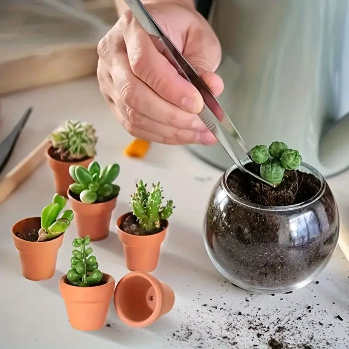 Small Mini Clay Pots With Drainage Holes