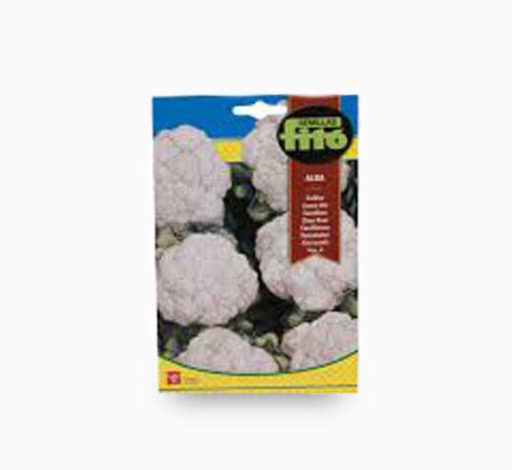 Fito Coliflor Alba (Cauliflower) - Fito Seeds - Greensouq -