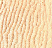 Garden stepping stones "Square" 30x30cm - Greensouq -