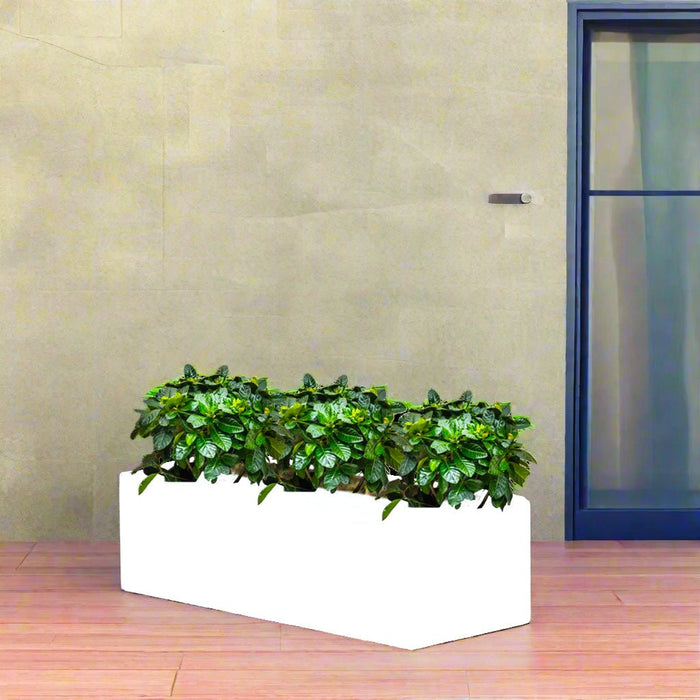 Gardenia Trio in Rectangular Fiber Glass Planter (GRP) (90x30x30cm) - Greensouq -