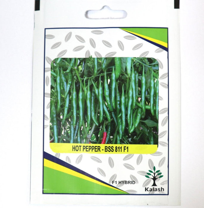 Hot Pepper BSS 811 F1 Hybrid Premium Quality Seeds - Greensouq -